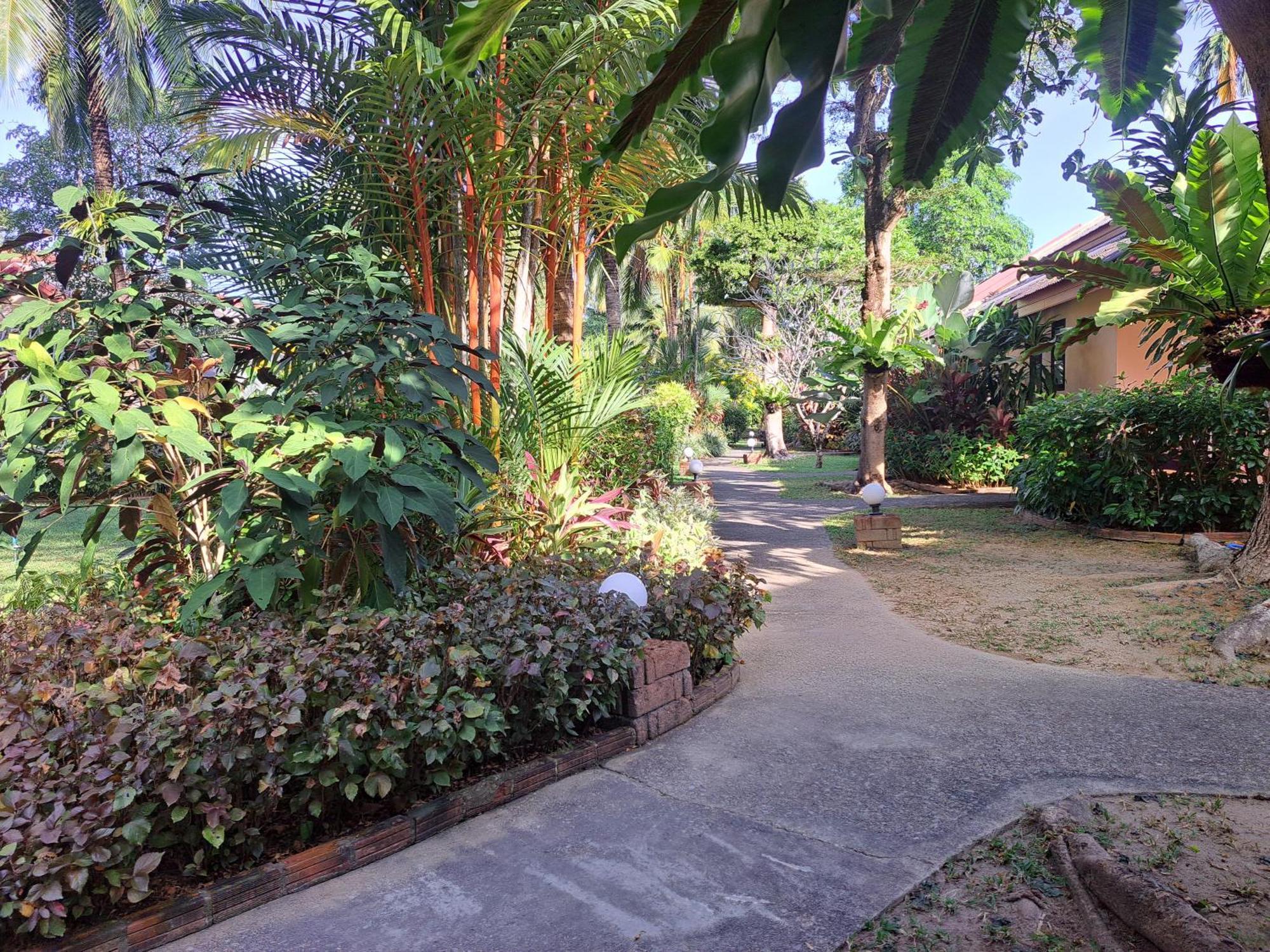 Jasmin Resort - Sha Plus Khao Lak Oda fotoğraf
