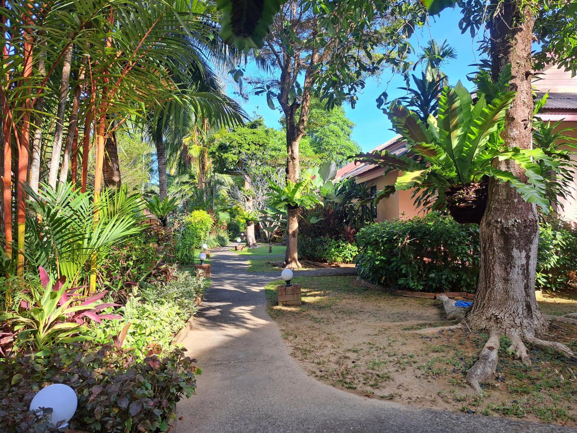 Jasmin Resort - Sha Plus Khao Lak Oda fotoğraf